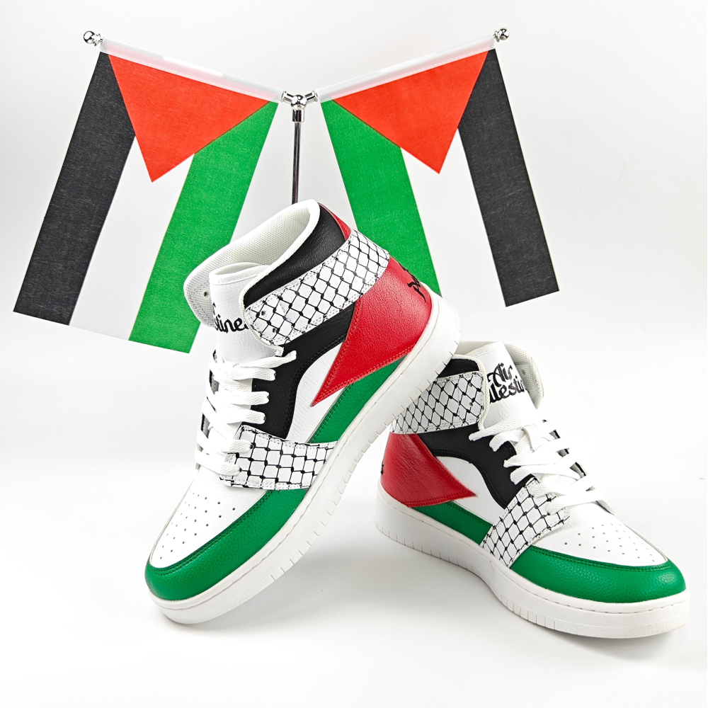 Air Palestines